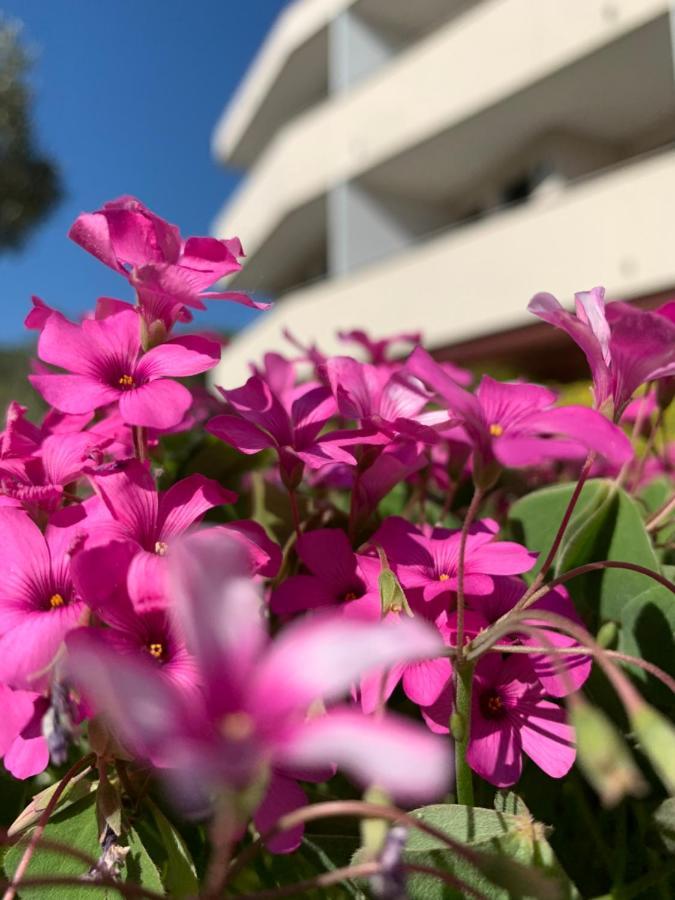 קוואלינו-טראפורטי Eurobeach Residence מראה חיצוני תמונה